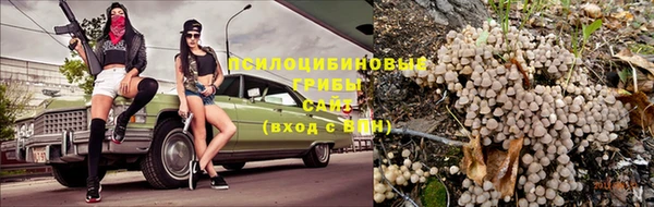 прущая мука Богданович