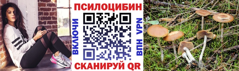 Псилоцибиновые грибы Psilocybine cubensis  Барнаул 